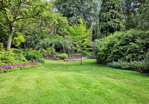 Optimiser l'expérience du jardin à Cahors